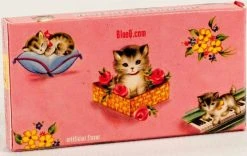 BLUE Q Hey Bitches | GUM -Punk Rave Store blueq hey bitches gum 2 c7f4d650 4145 4368 9218 6d41455cb65d 700x700