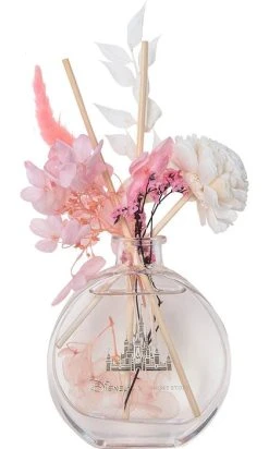 DISNEY X SHORT STORY Disney Marie | DIFFUSER