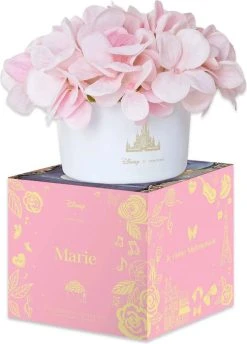 DISNEY X SHORT STORY Disney Marie Floral | BOUQUET DIFFUSER -Punk Rave Store disney x short story disney marie floral bouquet diffuser 8 aeeb0b94 26e6 45b8 a43b 1a7a59059658 700x700