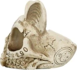 GOTHIC GIFTS Spirit Board | CAT SKULL ORNAMENT 9 GOTHIC GIFTS Spirit Board | CAT SKULL ORNAMENT -Punk Rave Store gothic gifts spirit board cat skull ornament 2 9772b8be b973 4b22 ab41 25005d1e7441 700x700