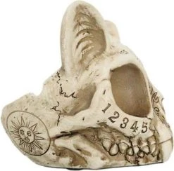 GOTHIC GIFTS Spirit Board | CAT SKULL ORNAMENT 10 GOTHIC GIFTS Spirit Board | CAT SKULL ORNAMENT -Punk Rave Store gothic gifts spirit board cat skull ornament 3 d7f9afb4 a936 4e31 9e57 238a005207eb 700x700