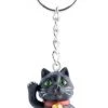 HOMEWARES Black Cat Pentacle | KEYCHAIN -Punk Rave Store homewares black cat pentacle keychain 2 7a7bffc9 8bf5 4d40 90b6 c5f8de8eb209 700x700