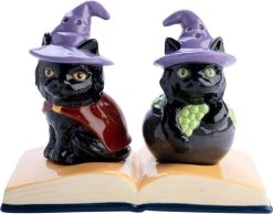HOMEWARES Black Cats | SALT & PEPPER SET -Punk Rave Store homewares flavour mates black cats salt pepper set 1 239c891c 7f3f 45c7 84df cad17e772d11 700x700