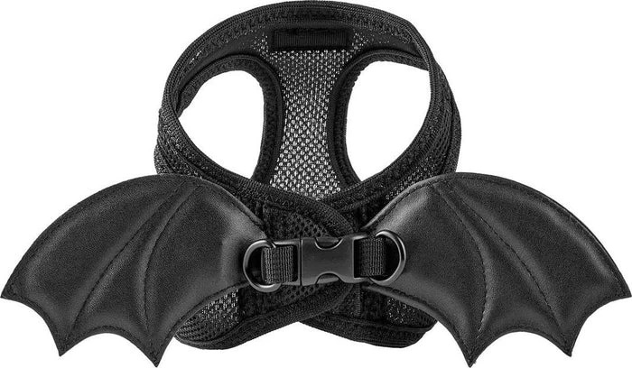 KILLSTAR Flutter | PET HARNESS* 4 KILLSTAR Flutter | PET HARNESS* - Image 2