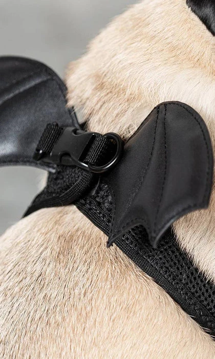 KILLSTAR Flutter | PET HARNESS* 6 KILLSTAR Flutter | PET HARNESS* - Image 4