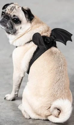 KILLSTAR Flutter | PET HARNESS* 9 KILLSTAR Flutter | PET HARNESS* -Punk Rave Store killstar flutter pet harness 3 cf4a0c0f 393b 4f2d 8720 91b96085bfde 700x700