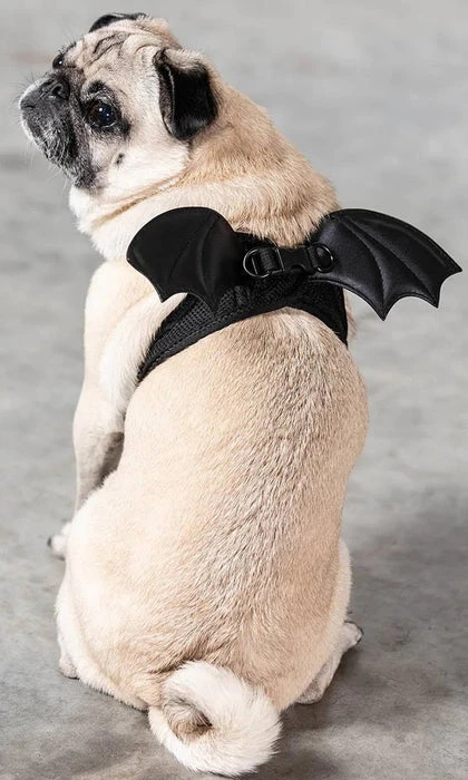 KILLSTAR Flutter | PET HARNESS* 3 KILLSTAR Flutter | PET HARNESS*