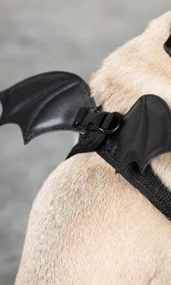 KILLSTAR Flutter | PET HARNESS* 11 KILLSTAR Flutter | PET HARNESS* -Punk Rave Store killstar flutter pet harness 5 42f3c701 8a7d 43dd ac5d 7ed13220f584 700x700