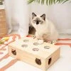 MEWOOFUN Whac-A-Mole | CAT TOY -Punk Rave Store mewoofun wooden whac a mole cat toy 1 ef935c5c 50de 4520 a495 ada9f7b4a36b 700x700