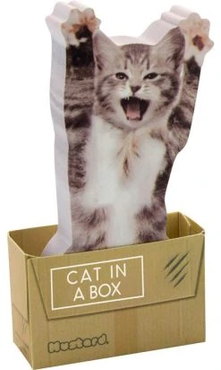MUSTARD Cat In A Box | STICKY NOTES*