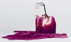 PYROPET Kisa [Burgundy] | CANDLE -Punk Rave Store pyropet kisa burgundy candle 3 936fd2ac 326e 42ac 871f 803f73d92b04 700x700