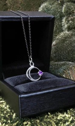 ROGUE AND WOLF Selene [Mirror Steel] | NECKLACE -Punk Rave Store rogue and wolf selene mirror steel necklace 4 f6f2f643 ba42 4cd4 8e8c bc1852b19996 700x700